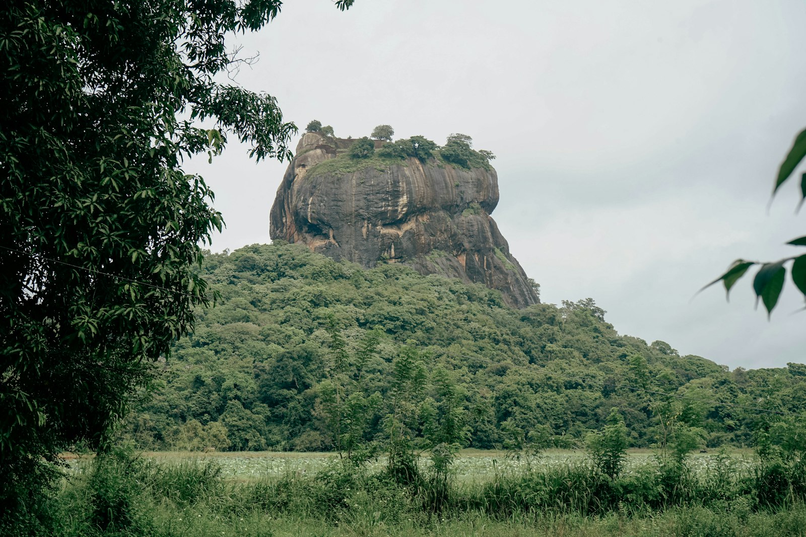 Sigiriya Rock Fortress, Sri Lanka