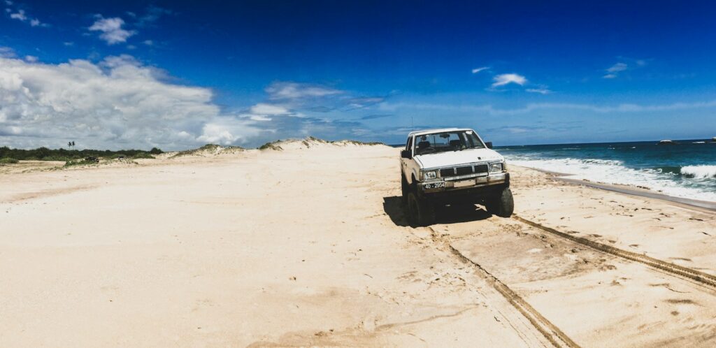 Wild Ceylon Safari